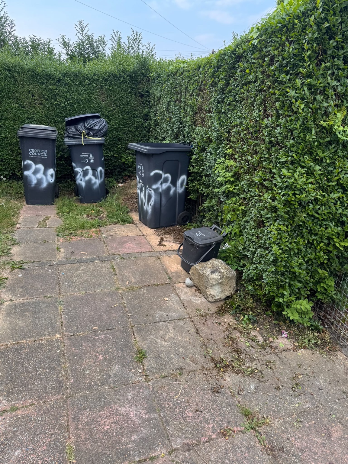 Bin area clearance Croydon