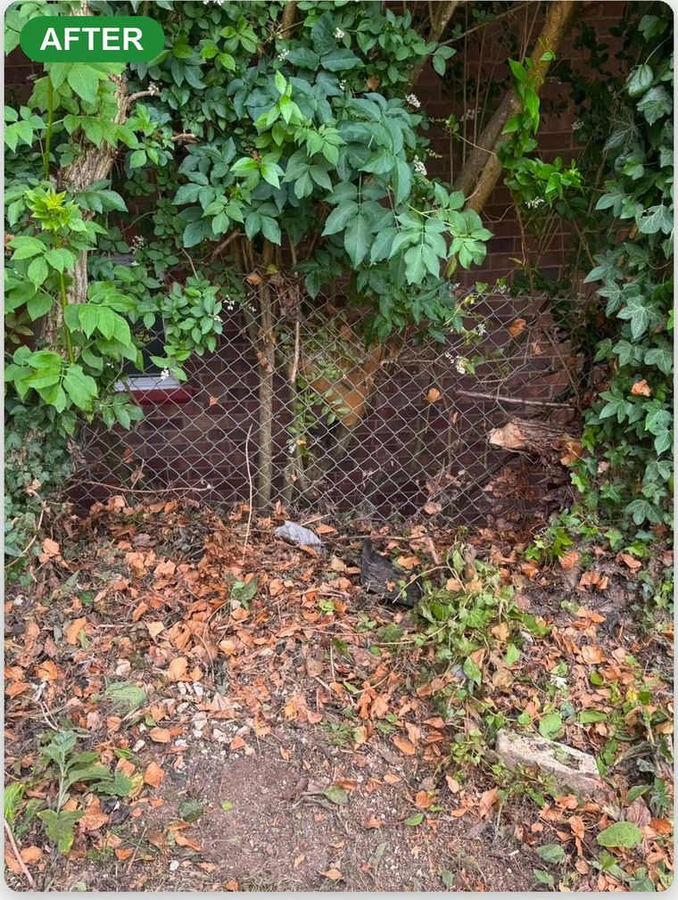 Area cleared of brick and rubble in Croydon