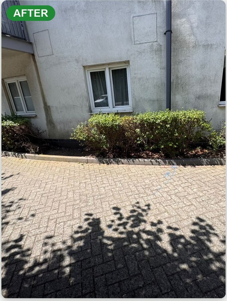 Space cleared of furniture and wood in Croydon