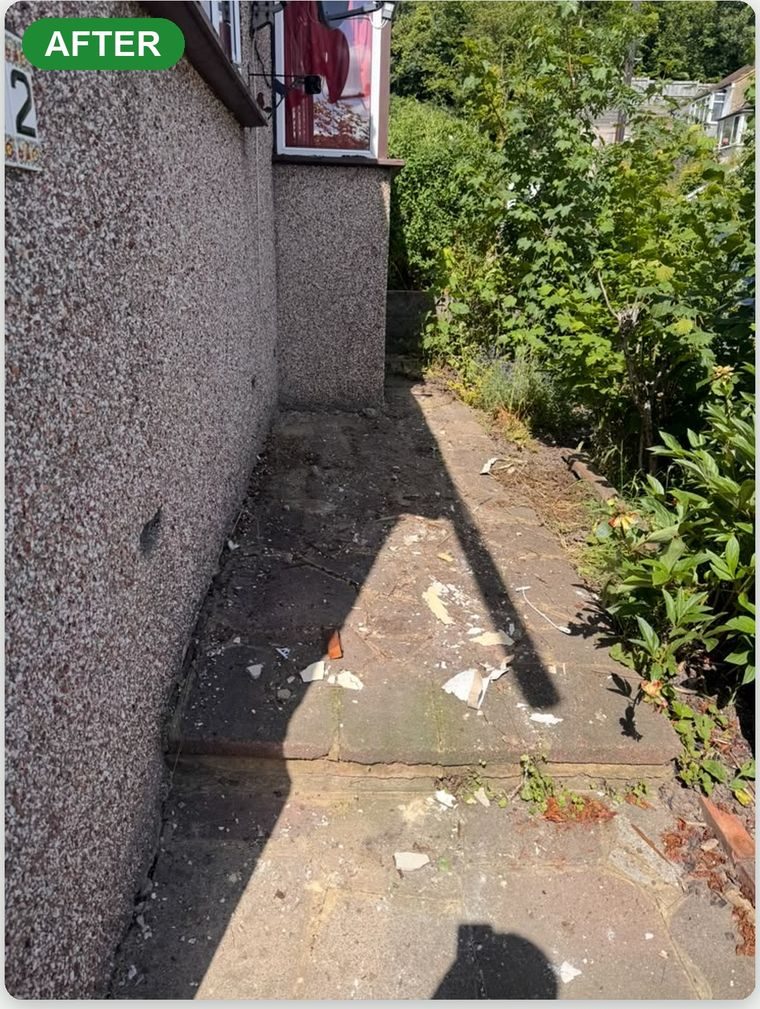 Area cleared of timber and wood in Croydon